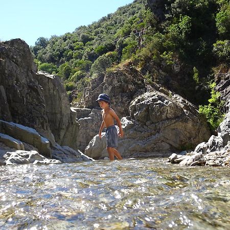 La Frigoule, Un Gite Au Coeur Du Parc Des Cevennes Generargues Экстерьер фото