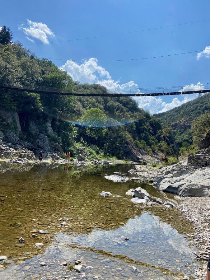 La Frigoule, Un Gite Au Coeur Du Parc Des Cevennes Generargues Экстерьер фото